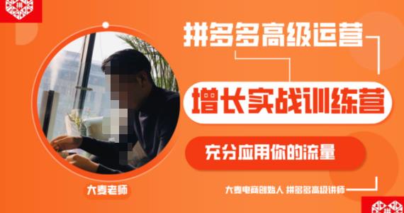 拼多多高級(jí)運(yùn)營(yíng)增長(zhǎng)實(shí)戰(zhàn)訓(xùn)練營(yíng)，充分應(yīng)用你的流量網(wǎng)盤(pán)分享