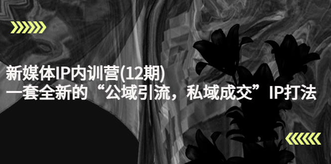 新媒體IP內(nèi)訓(xùn)營(yíng)(12期)網(wǎng)盤(pán)分享