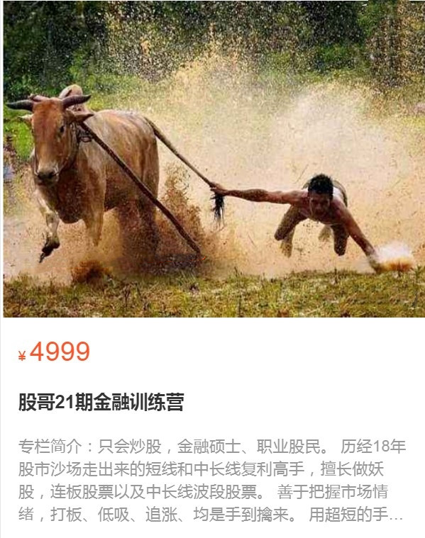 股哥訓練營 只會炒股第21期 2022網(wǎng)盤分享