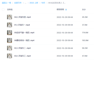 松巖洞玄真人《六合歸元內煉》視頻