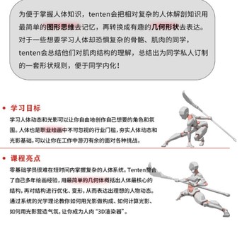 tenten云2022年人體結構動態基礎第五期