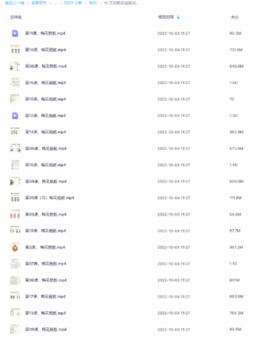 文玥梅花易數視頻課程20集