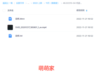 D2210-04 雞蛋收魂法，十二生肖開光