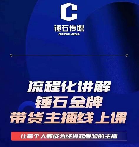 錘石傳媒婉婉?金牌帶貨主播線上課，流程化講解，打造金牌帶貨主播網盤分享