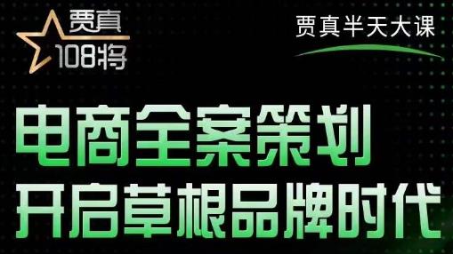 賈真老師的半天大課，電商全案策劃，開啟草根品牌時代網盤分享