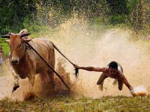 股哥訓(xùn)練營 只會炒股第22期