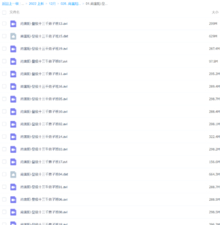 肖富陽-皇極十三千弟子班視頻教程19集