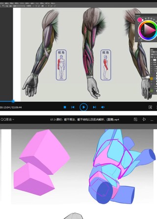 大木畫畫2022人體結構第五期【畫質不錯只有視頻】