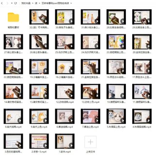 藝琳2022零基礎(chǔ)ipad寵物繪畫課【畫質(zhì)高清有筆刷素材】