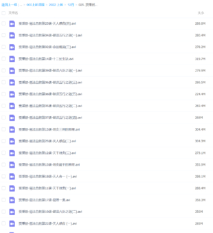 賈秉然-易法自然視頻25集