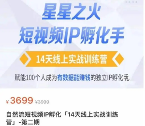 瑤瑤?自然流短視頻IP孵化第二期，成為有數據能賺錢的獨立IP孵化手百度網盤插圖