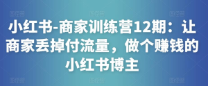 小紅書-商家訓練營12期：讓商家丟掉付流量，做賺錢小紅書博主百度網盤插圖