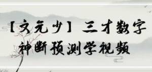 文元少 三才數字神斷預測學視頻 16集百度網盤插圖