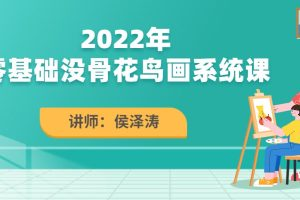 侯澤濤2022零基礎沒骨花鳥畫系統課百度網盤插圖