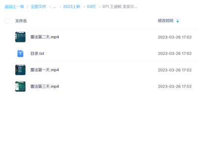 王道幀 龍昊宗道醫堂 雷法入門3節