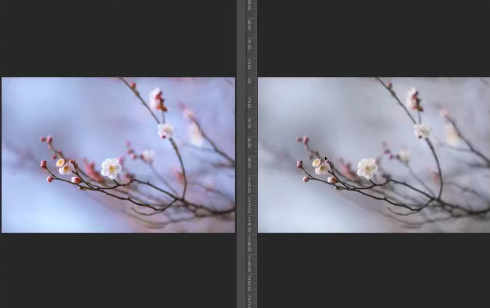 葛宏軍老師主講梅花四攝，梅花攝影技巧與后期百度網盤