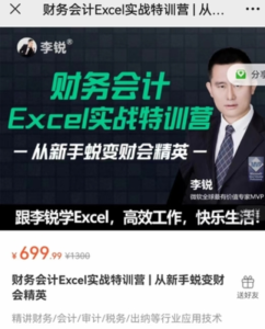 財務會計Excel實戰(zhàn)特訓營 | 從新手蛻變財會精英百度網(wǎng)盤插圖