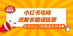 小紅書電商新手入門到精通實操課，從入門到精通做爆款筆記百度網盤插圖