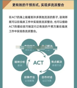 ACT療法實錄與訪談（創(chuàng)始人親授）百度網(wǎng)盤插圖