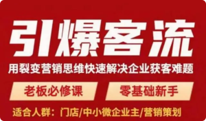 引爆客流，用裂變營銷思維快速解決企業獲客難題百度網盤插圖