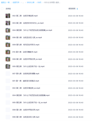 長(zhǎng)安師智-道家混元樁詳細(xì)系統(tǒng)教學(xué)10課時(shí)