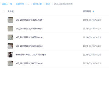 元皇法壇張師傅