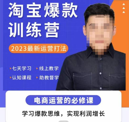 愛上黃昏?淘寶爆款訓練營，2023最新運營打法，學習爆款思維實現(xiàn)利潤增長