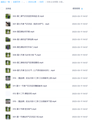 【易學上新】長安師智-太極拳如何氣沉丹田16課時