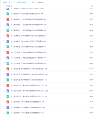 【極客時(shí)間】219-Dubbo源碼剖析與實(shí)戰(zhàn)