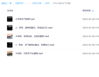丹道·采氣開眼功【近視，改善視力，用眼過度】
