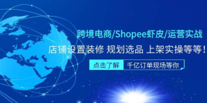 跨境電商Shopee蝦皮運(yùn)營(yíng)實(shí)操直播課（10節(jié)系統(tǒng)課）百度網(wǎng)盤(pán)插圖