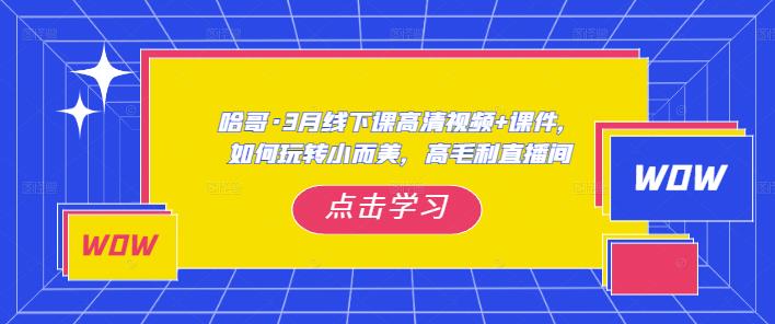 哈哥?3月線下實操課高清視頻+課件，如何玩轉小而美高毛利直播間百度網盤