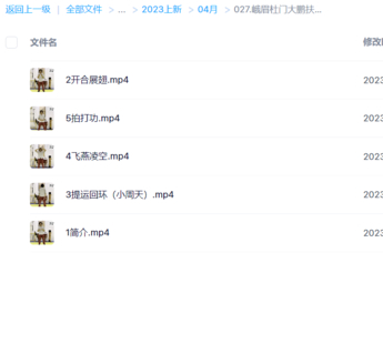 峨眉杜門大鵬扶仰功視頻5集