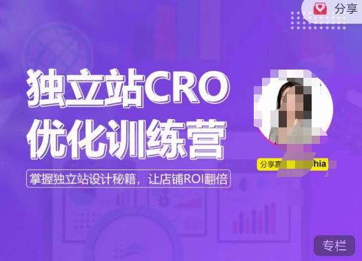 獨立站CRO優化訓練營，掌握獨立站設計，打造高轉化獨立站，讓店鋪ROI翻倍百度網盤