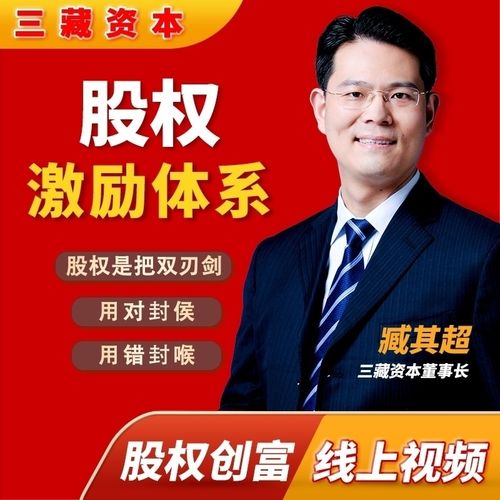 臧其超：股權(quán)激勵體系（爆款視頻課）百度網(wǎng)盤