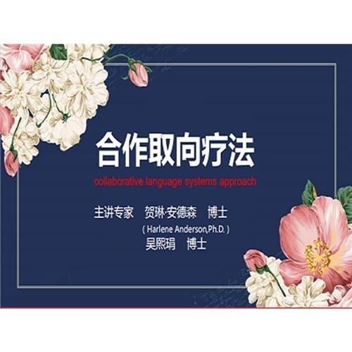 賀琳?安德森&吳熙娟 精解合作取向療法百度網盤