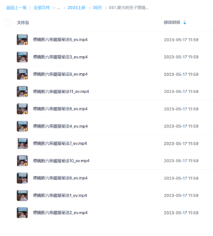 夏光明弟子德鏡老師斷六親藏箱秘法視頻11集