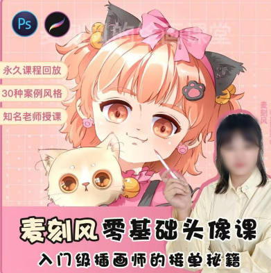 麥刻風(fēng)2022零基礎(chǔ)頭像課ipad入門商業(yè)插畫接單百度網(wǎng)盤