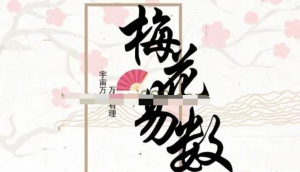 易小生《梅花易數》直播課程視頻13集百度網盤插圖