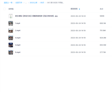 夏光明弟子德鏡老師《八字斷職業(yè)私傳密授》視頻5集