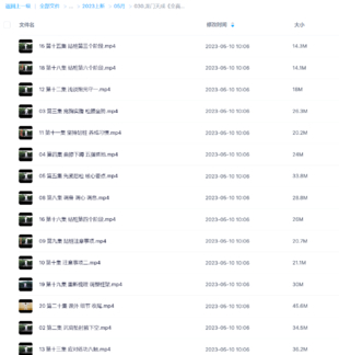 龍門天成《全真龍門派站樁養生功》20集