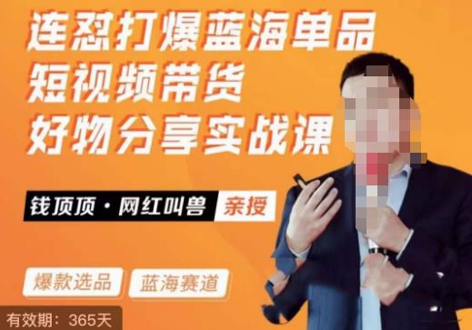 網紅叫獸?連懟打爆藍海單品，短視頻帶貨好物分享實戰課百度網盤