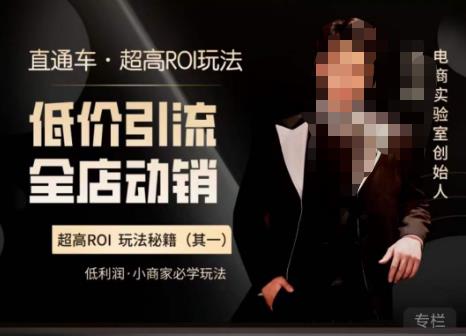 電商冰可樂?直通車?《低價引流?全店動銷》，直通車?超高ROI玩法百度網盤