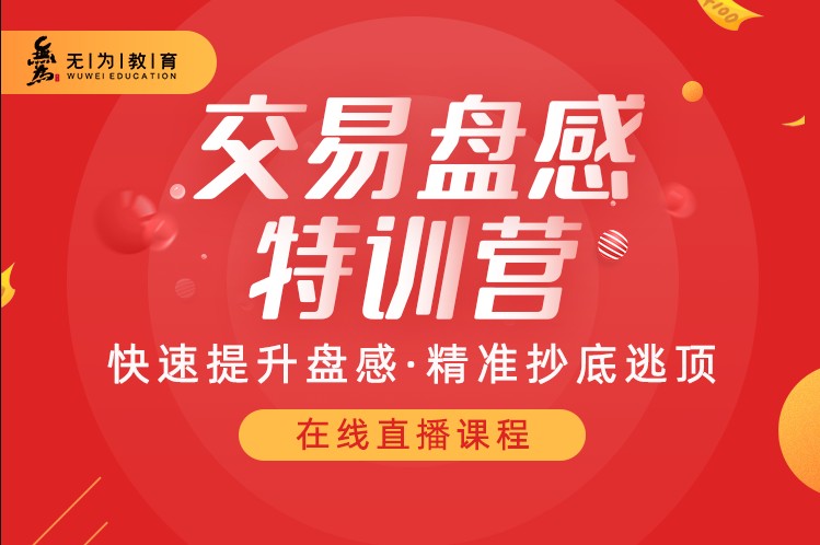 無為老師259期盤感特訓營課程百度網盤