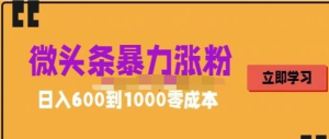 微頭條暴力漲粉技巧搬運(yùn)文案就能漲幾萬(wàn)粉絲，0成本日賺600百度網(wǎng)盤(pán)插圖