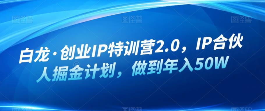 白龍·創業IP特訓營2.0 ，IP合伙人掘金計劃年入50W百度網盤