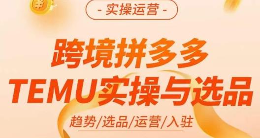伍躍?跨境拼多多TEMU實操與選品，趨勢/選品/運營/入駐百度網盤