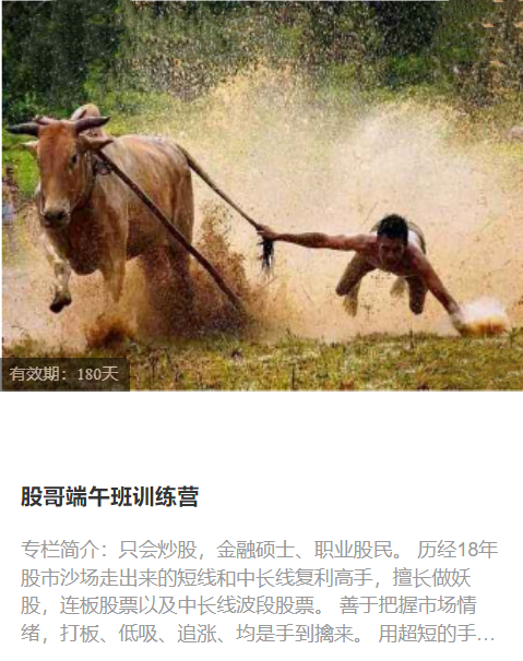 股哥端午班訓練營百度網盤