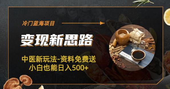 冷門藍海項目-中醫新玩法-資料免費送小白日入500百度網盤