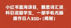 小紅書藍海項目雅思詞匯資料引流留學生，0門檻操作日入300百度網盤插圖